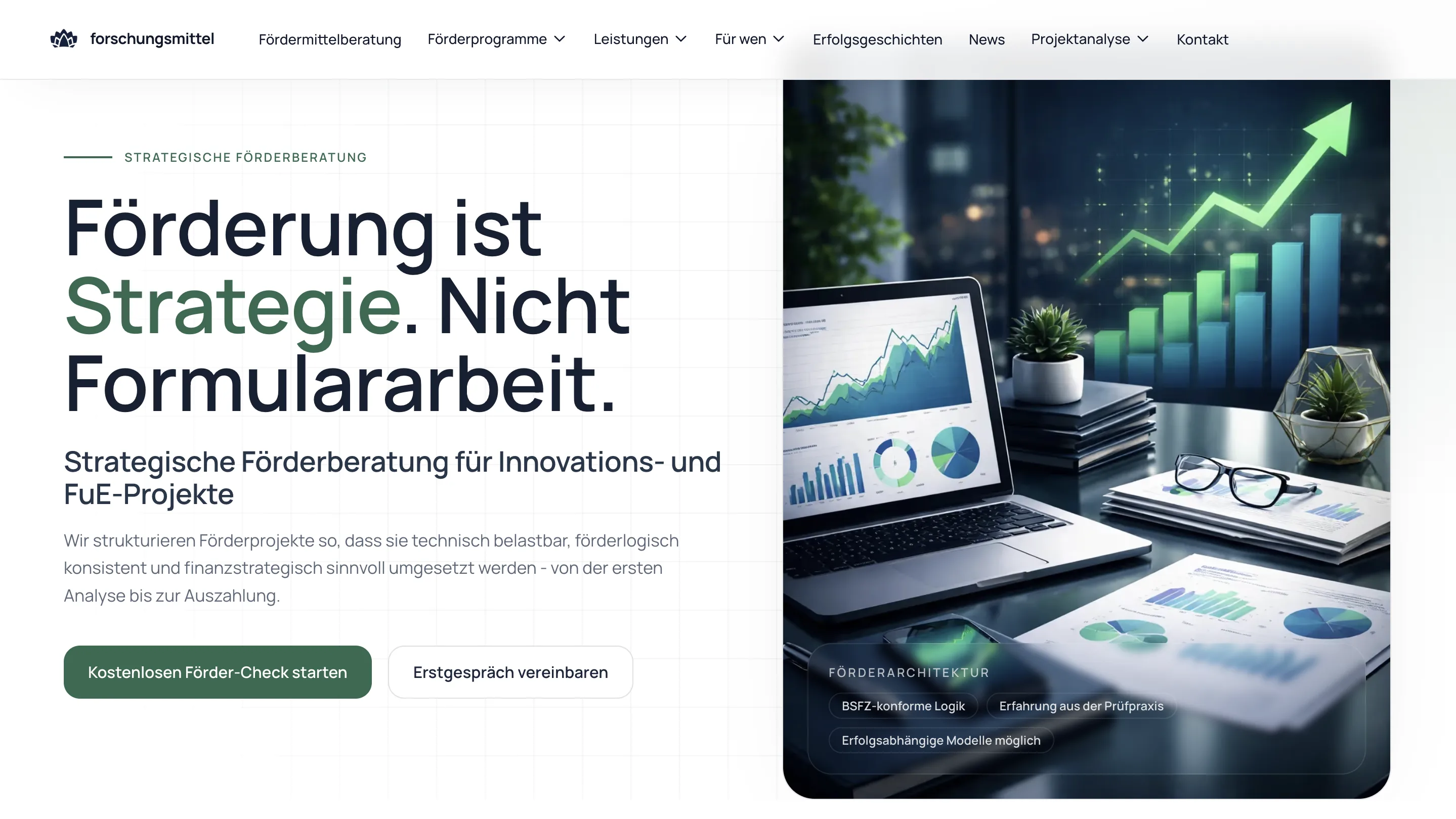 Public B2B website cover of Forschungsmittel.com