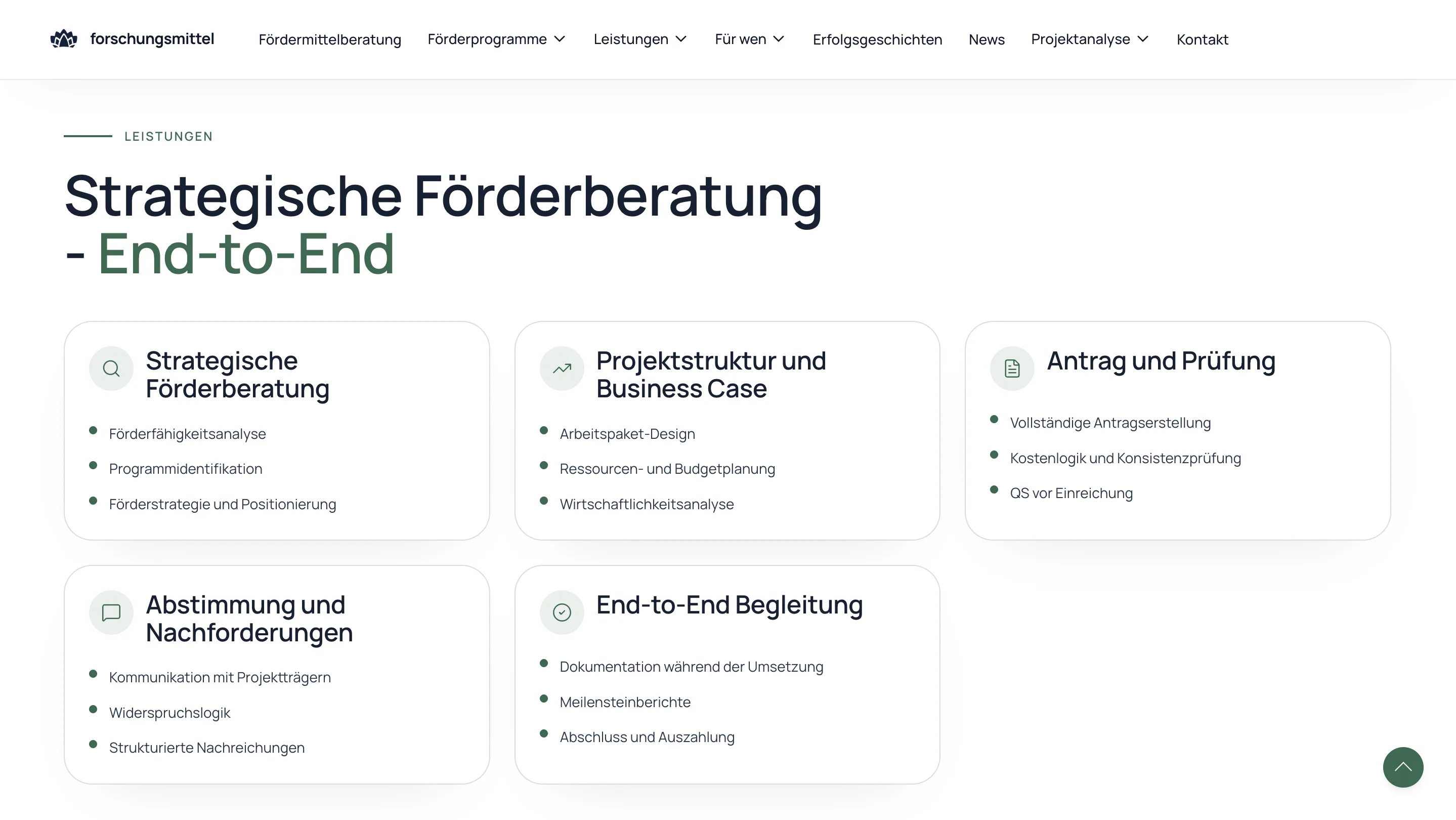 Forschungsmittel website layer screen 03