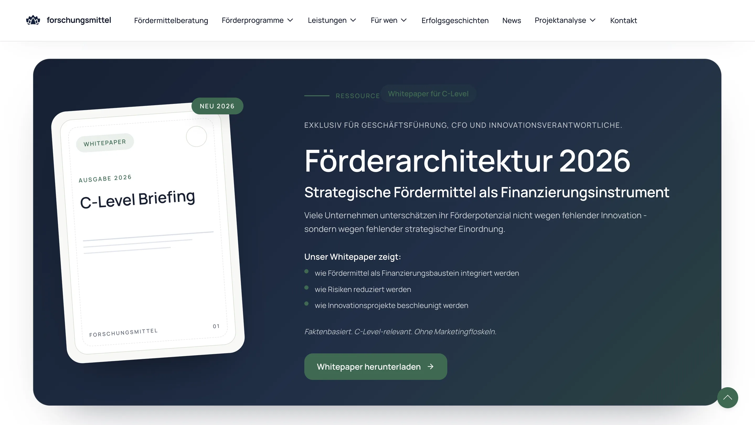 Forschungsmittel website layer screen 04