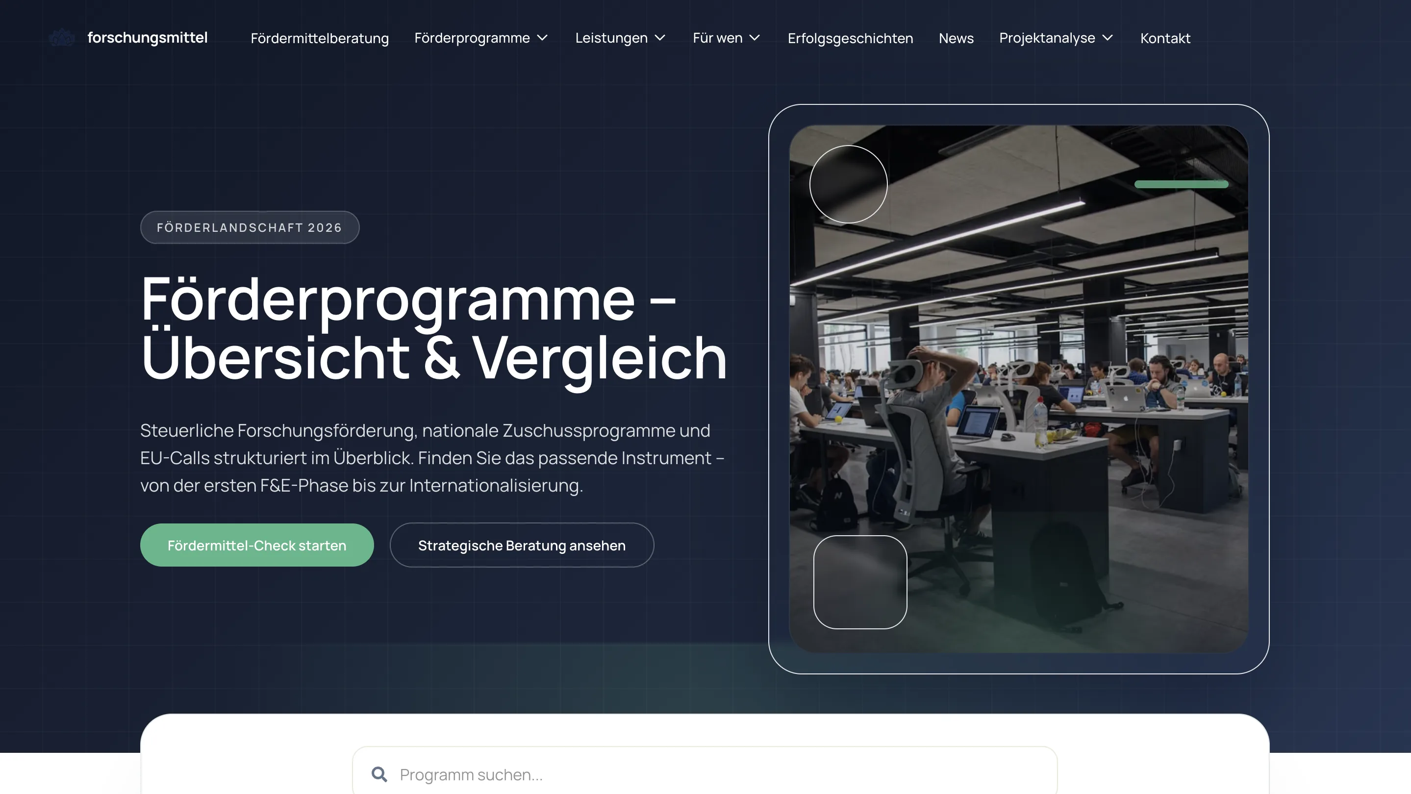 Forschungsmittel website layer screen 05