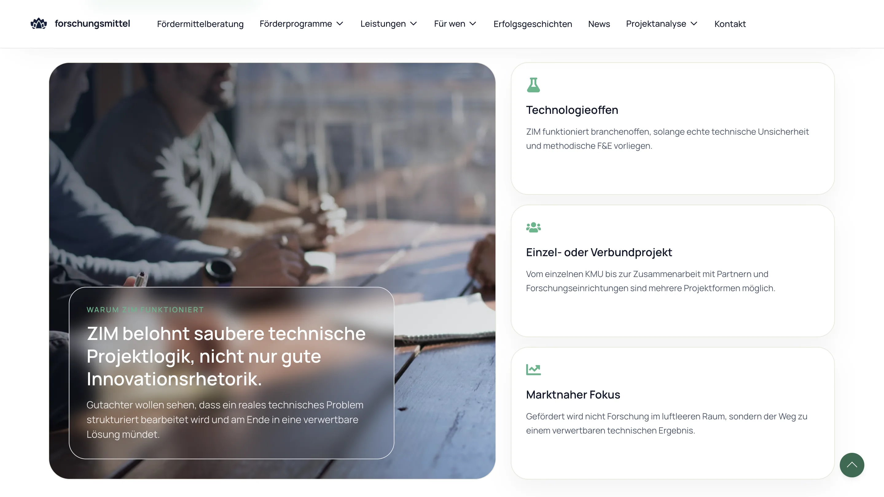 Forschungsmittel website layer screen 07