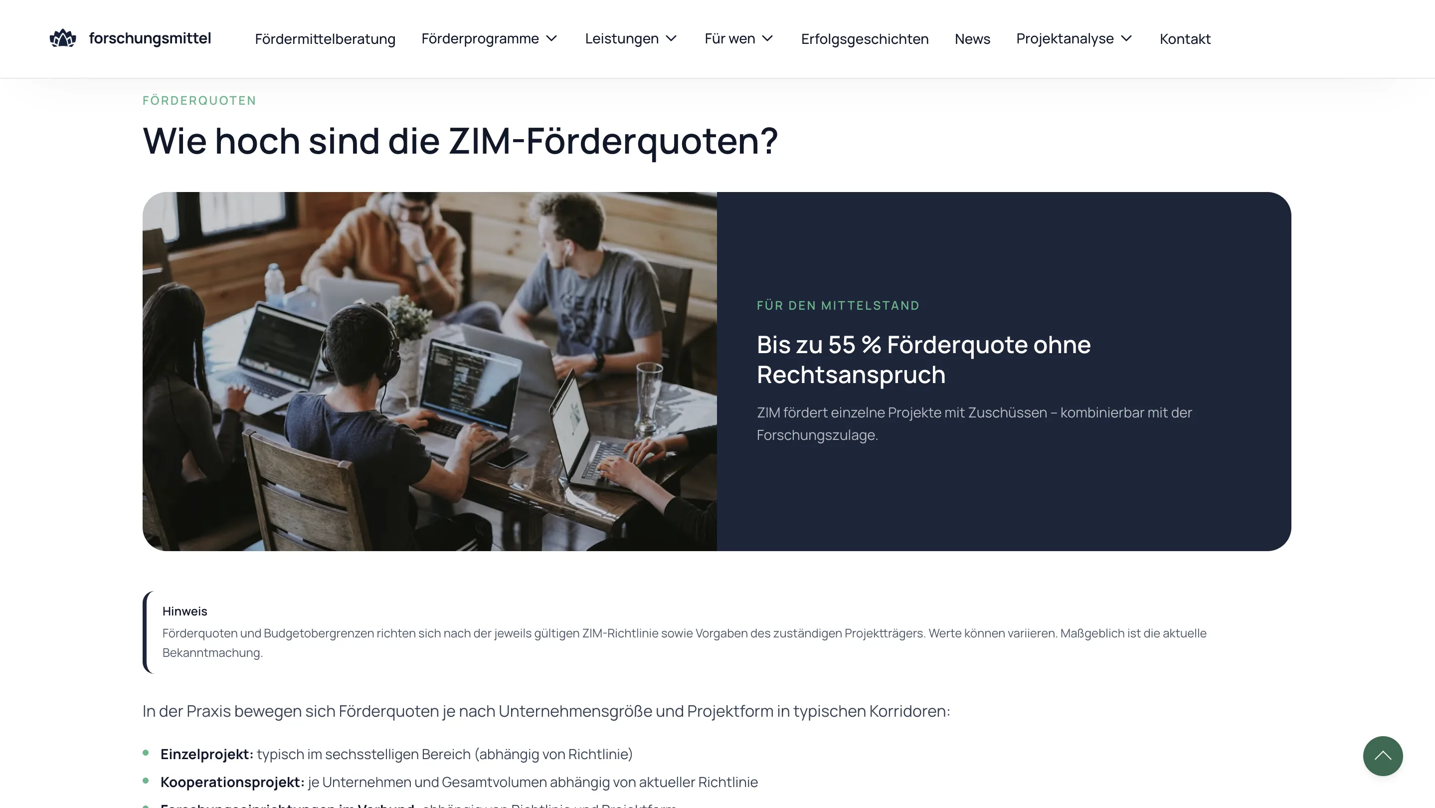 Forschungsmittel website layer screen 08