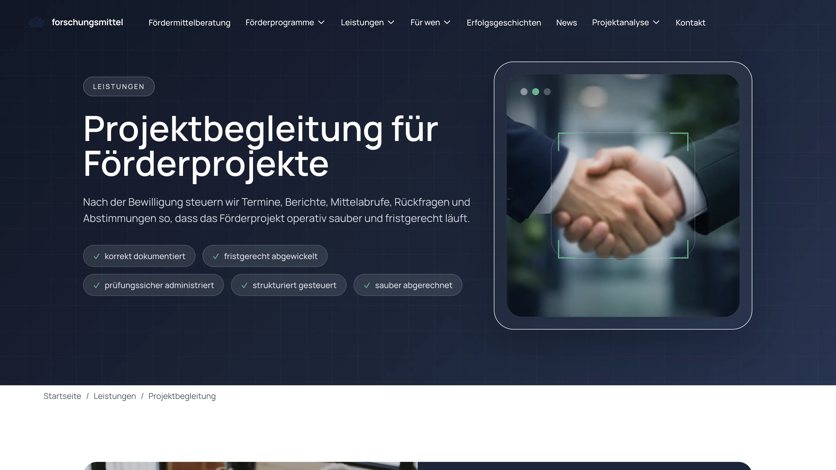 Forschungsmittel website layer screen 09