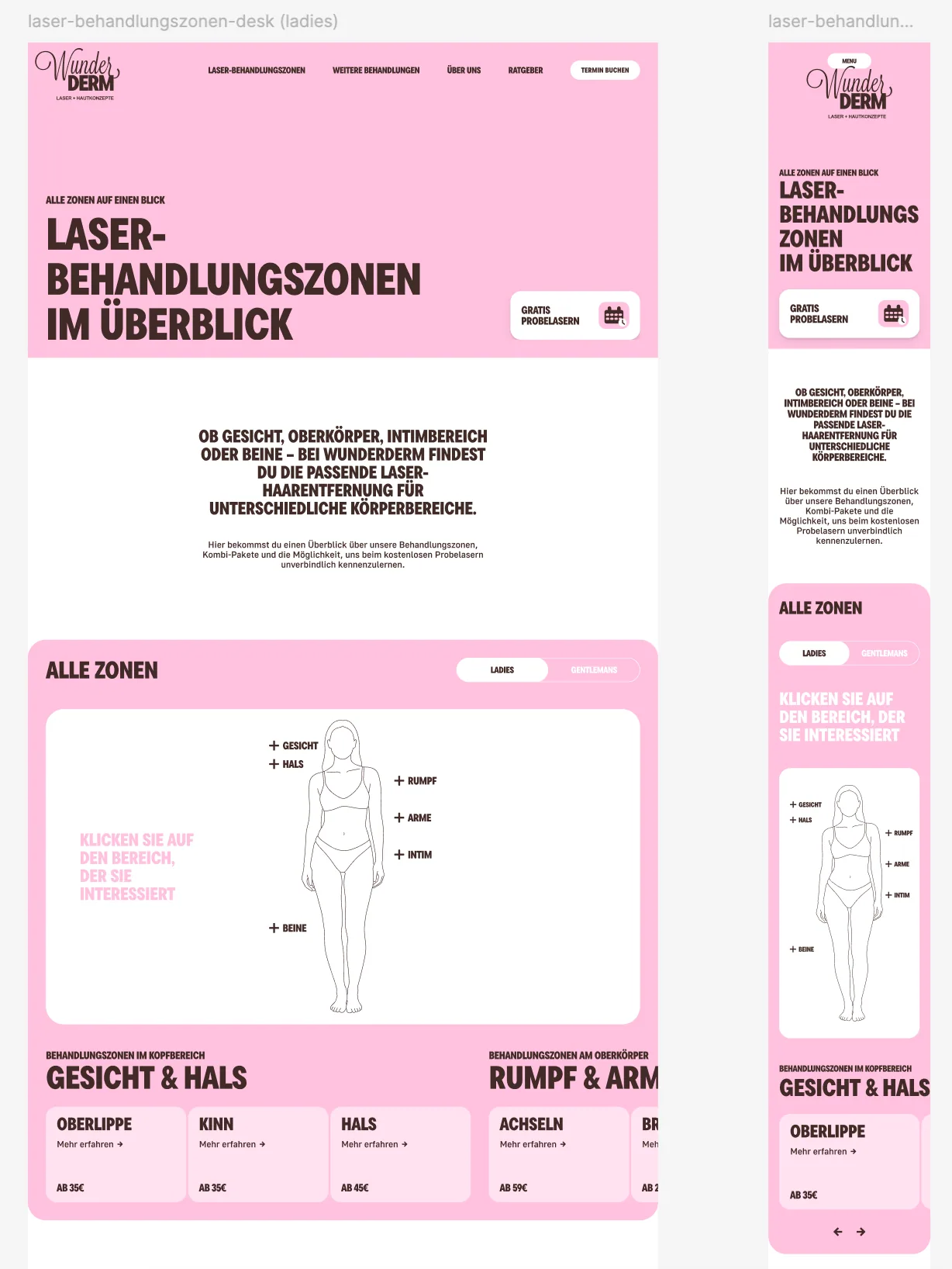 WunderDerm treatment-zone overview designed for desktop and mobile