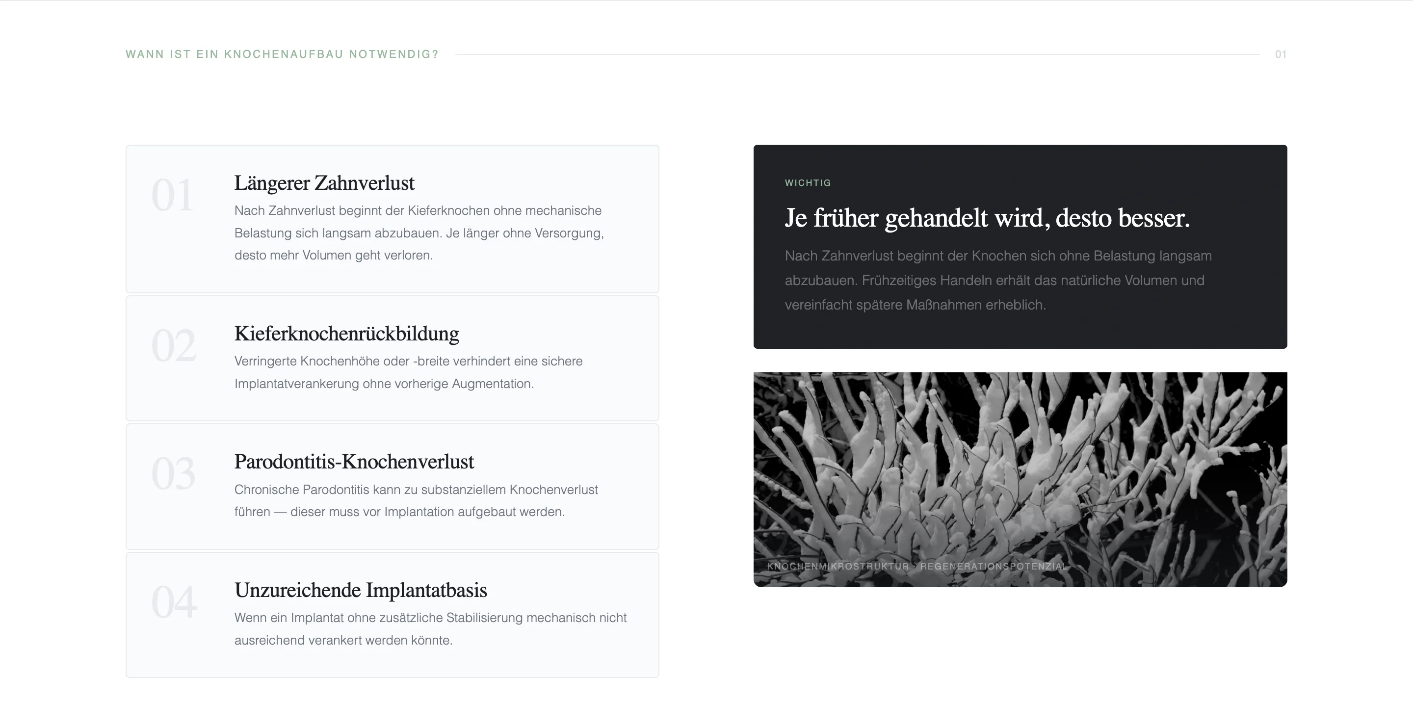 Illustrative website screen highlighting category details (concept)