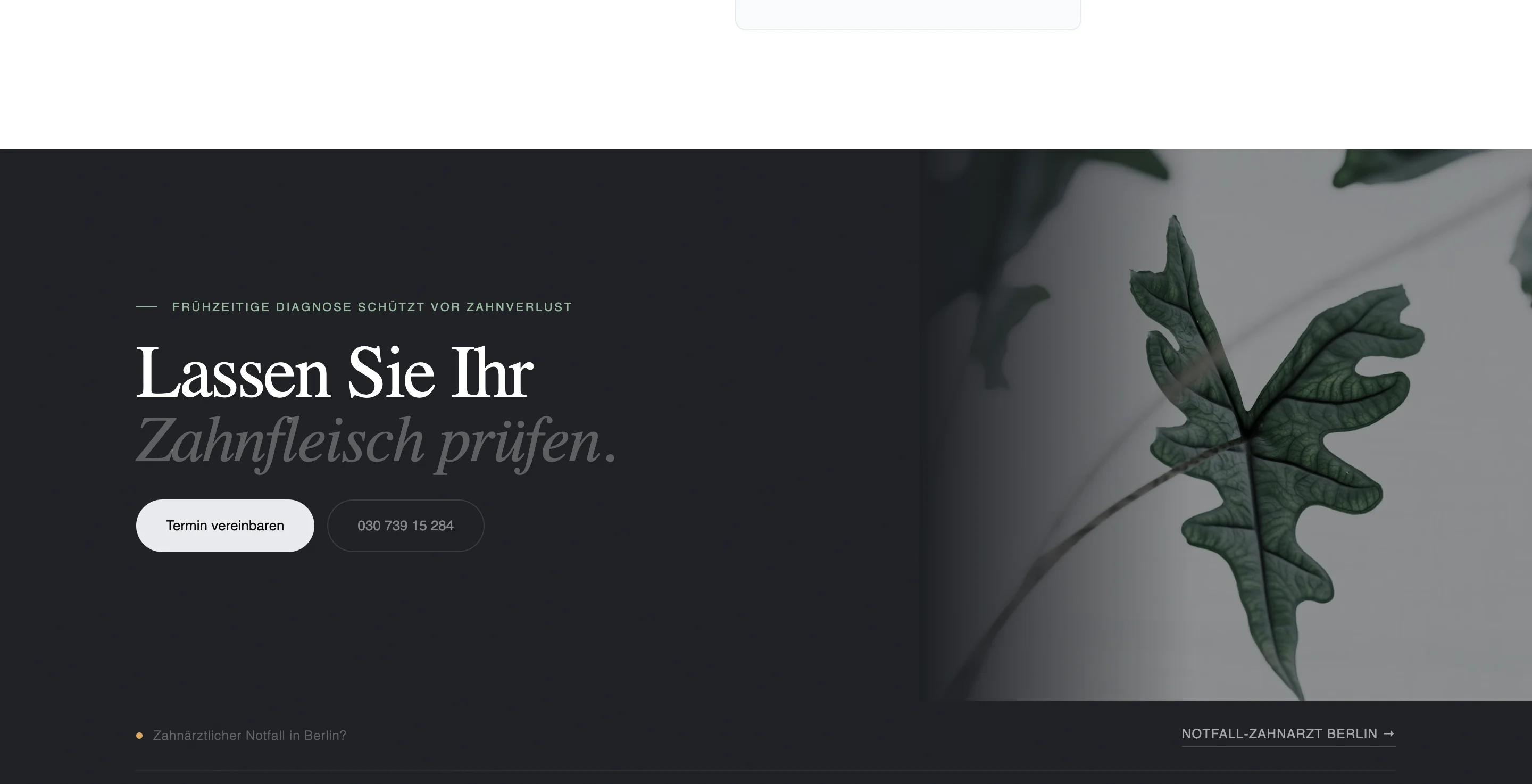 Illustrative website screen study (concept reference build)